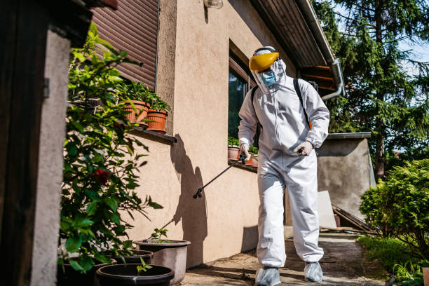 Best Exterminator Services  in Big Lake, MN