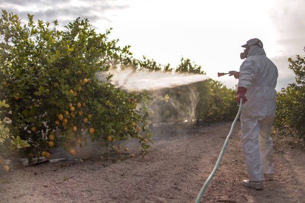 Reliable Big Lake, MN Pest Control Solutions