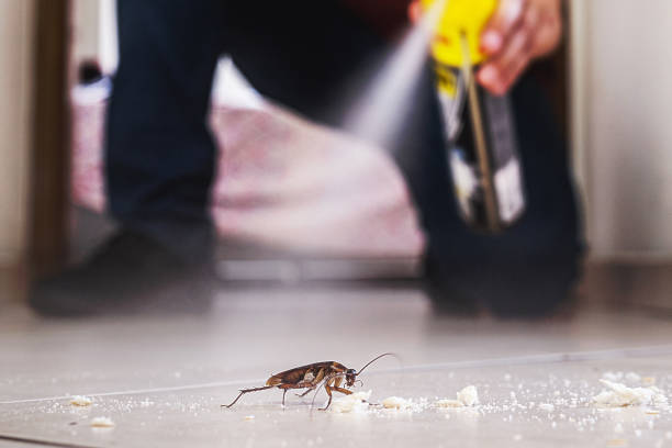 Best Cockroach Control Services  in Big Lake, MN