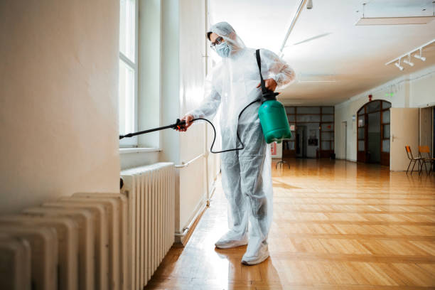 Best Termite Control Services  in Big Lake, MN